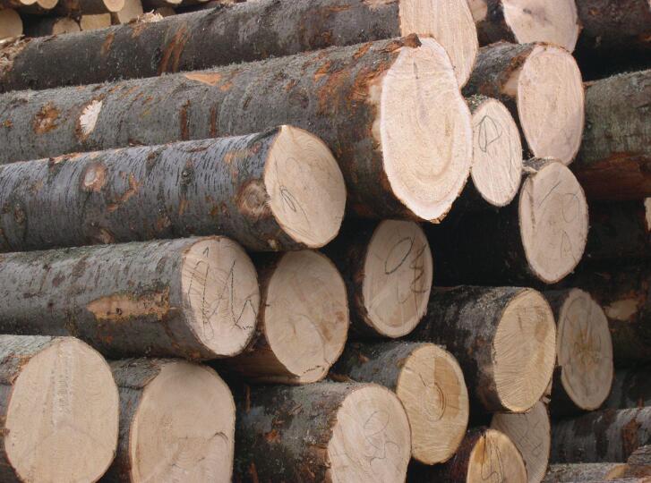 随着木材上张欧洲云杉原木价格呈现出了滞涨态势